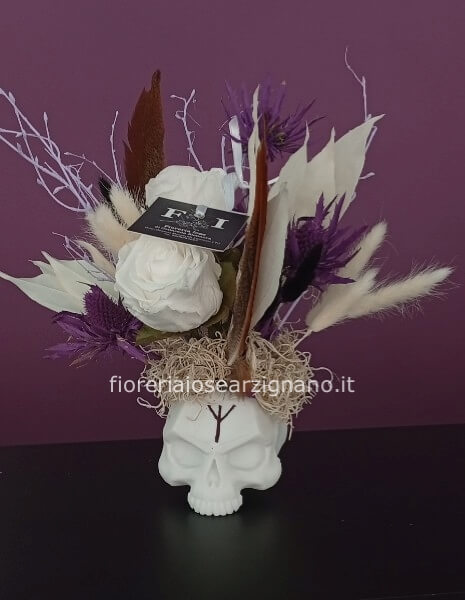 L'OCCHIO DEL GRIFONE - STABILIZZATO